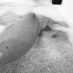 Sav @prettyblueeyes96 Leaks OnlyFans 

 profile picture