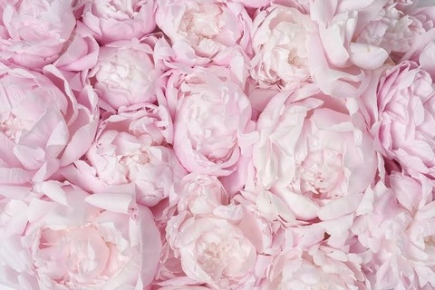 Header of prettyy_feetzz