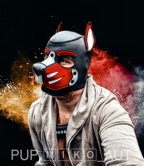 Header of pup.miko_aut