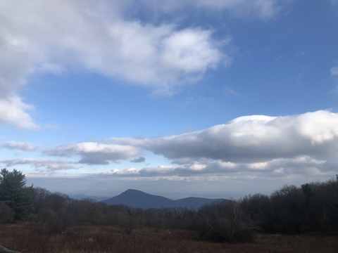 Header of pupgirlocean