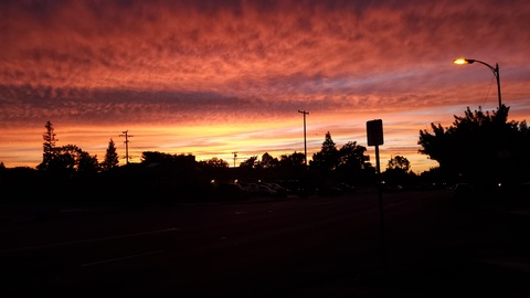 Header of pussylovingpipelayer