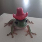 Download raelynnleexx OnlyFans videos and photos for free 

 profile picture