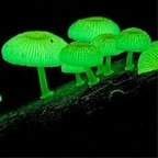 Onlyfans leaks randumbnumb 

 profile picture