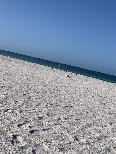 Header of rebeccakay