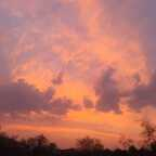 Free access to (redwitch56) Leaks OnlyFans 

 profile picture