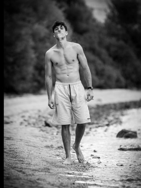 Header of rellos_lizard