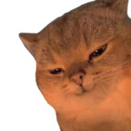 Download remicaughtsimpin OnlyFans content for free 

 profile picture