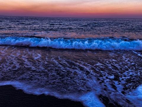 Header of robinson3388