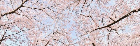 Header of romanianbaddie