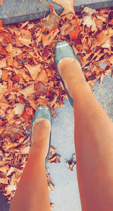 Header of sagesummerr