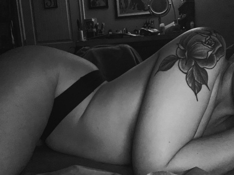 Header of sailorrose