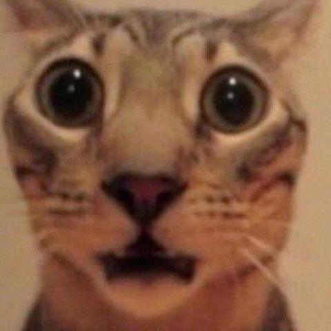 Header of samanthnya