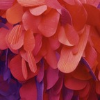 Download sandrabellows OnlyFans leaks for free 

 profile picture