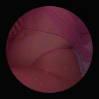 Onlyfans leaked satansprincessc 

 profile picture