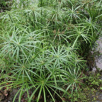 Onlyfans leaks savadelrey 

 profile picture