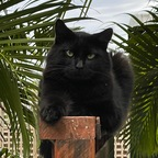 Onlyfans leak sentientyoda 

 profile picture