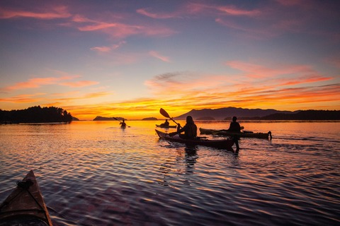 Header of sexy_miss_sunshine