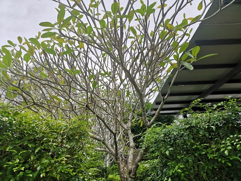 Header of sgkincouple