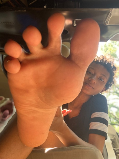 Header of shadysoles0