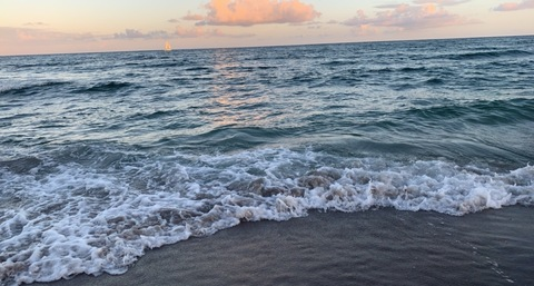 Header of sharnyceballos