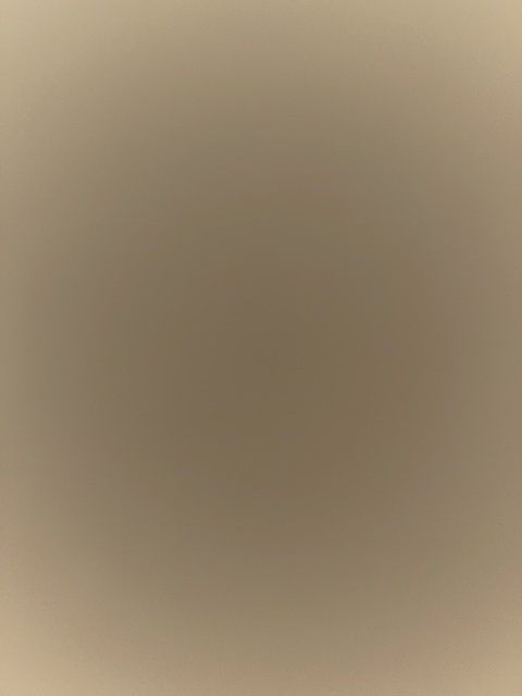 Header of shyguyjay