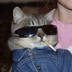 ★ 𝖒𝖆𝖗𝖘 ★ @sinfulclown Leak OnlyFans 

 profile picture