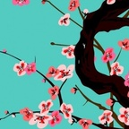 Onlyfans leak skonk 

 profile picture