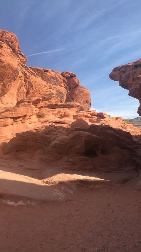 Header of snowflaketoess