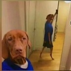 sofierey (Sofie Rey) free OnlyFans Leaked Videos and Pictures 

 profile picture