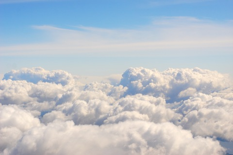 Header of softestsinnabun