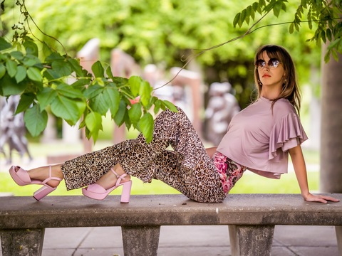 Header of solisolstice