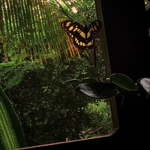 Header of sophiabxby