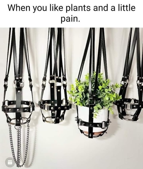 Header of soullessgingerbabe