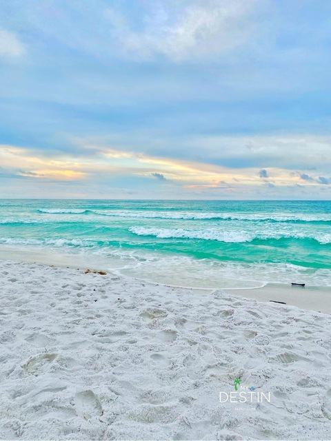 Header of southernsole35