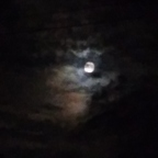 spicyfingers (Spicy) free OnlyFans content 

 profile picture