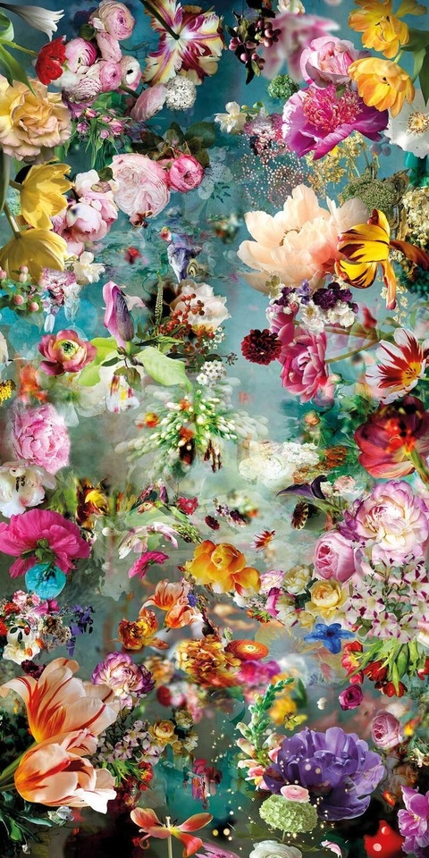 Header of spoiledbabyxx