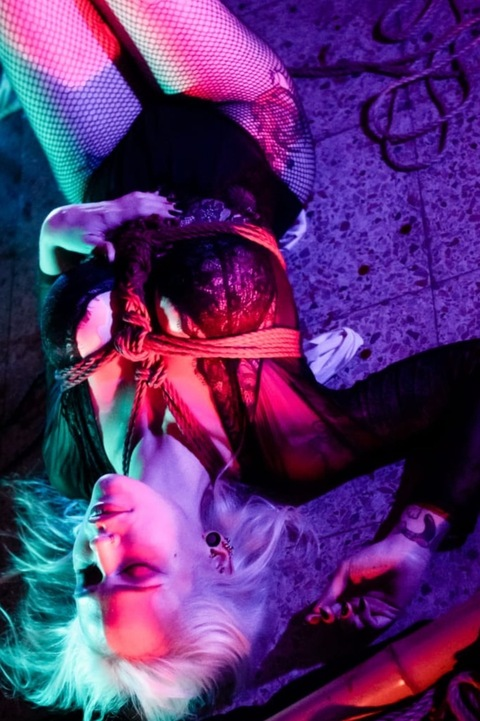 Header of srtaheartbreaker