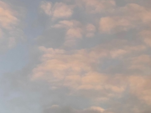 Header of st.briasluv