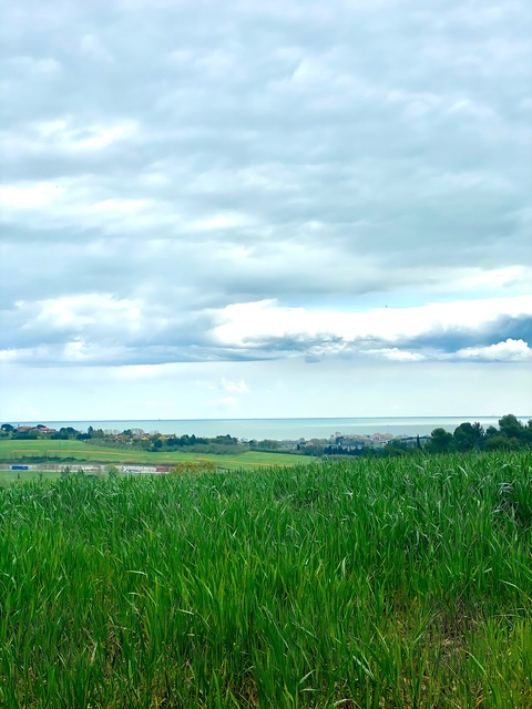 Header of starjasmin99