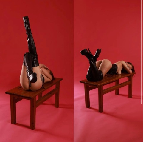 Header of stellassnow