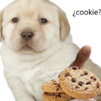 step-sis OnlyFans Leaked 

 profile picture