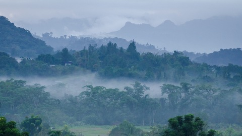 Header of stone_moralesxx