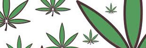 Header of stoneddalphaaa