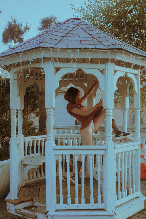 Header of stonedfern