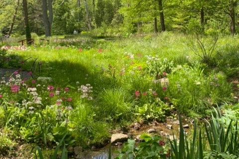 Header of strwbrry_mx5