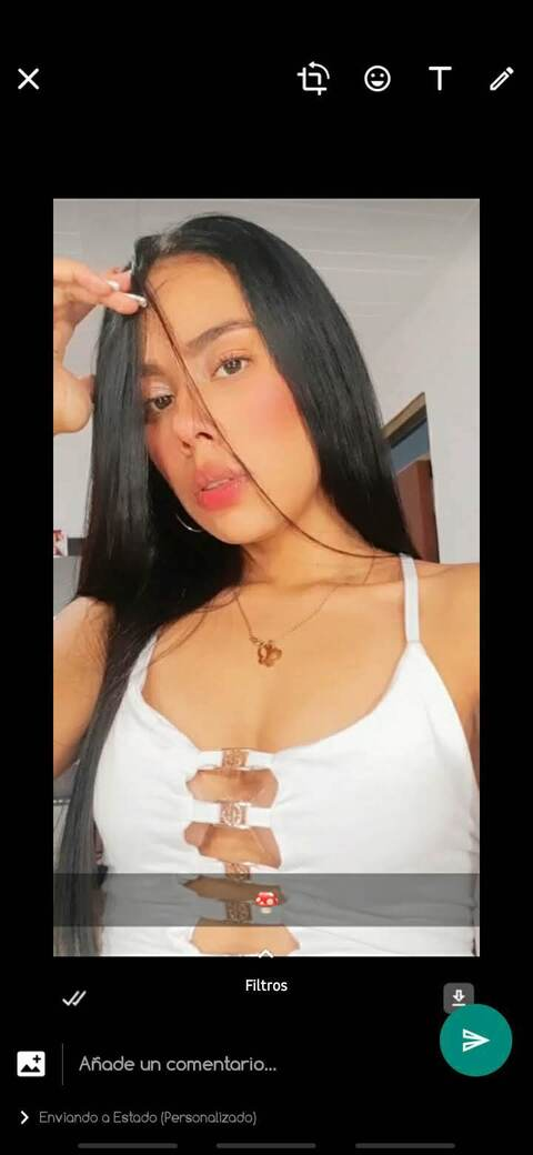 Header of stylish-05