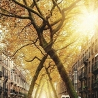 Olafecorcansullivan (sullivan) Leaks OnlyFans 

 profile picture