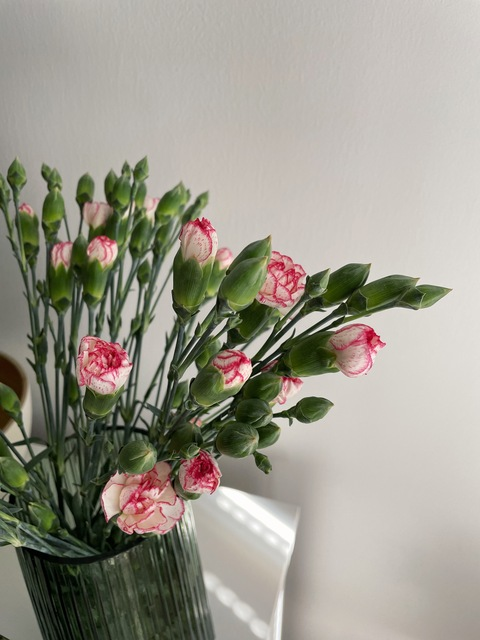 Header of suvimarlene