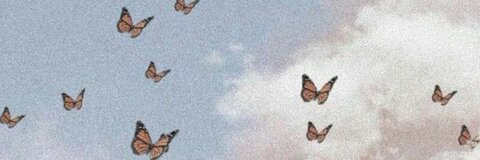 Header of sweetgirl1505