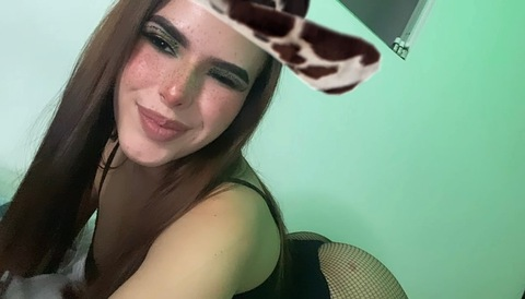 Header of tam_rooficial